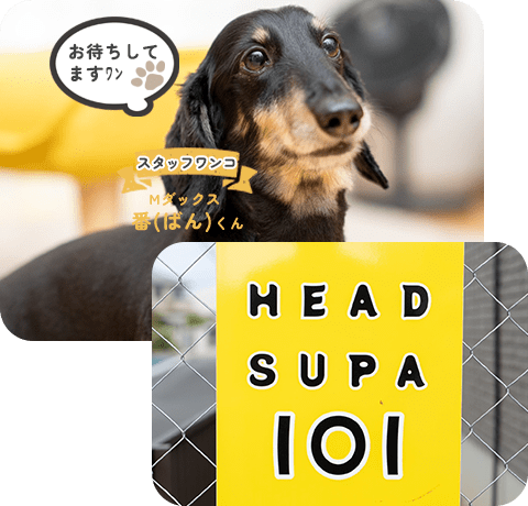 HEAD SUPA 101